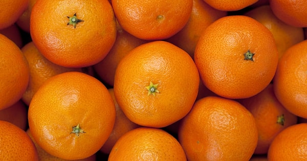 2. Mandalina