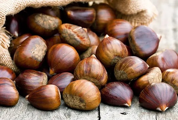 12. Kestane