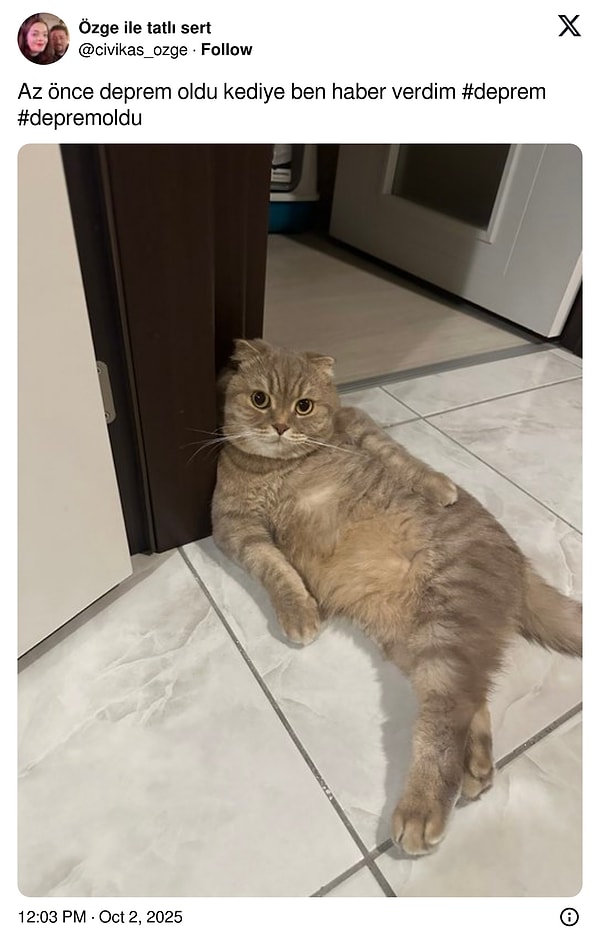 Hani hayvanlar hissediyordu?