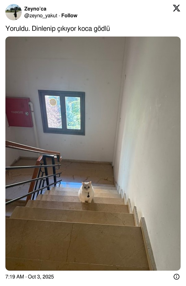 Alıver kucağına.