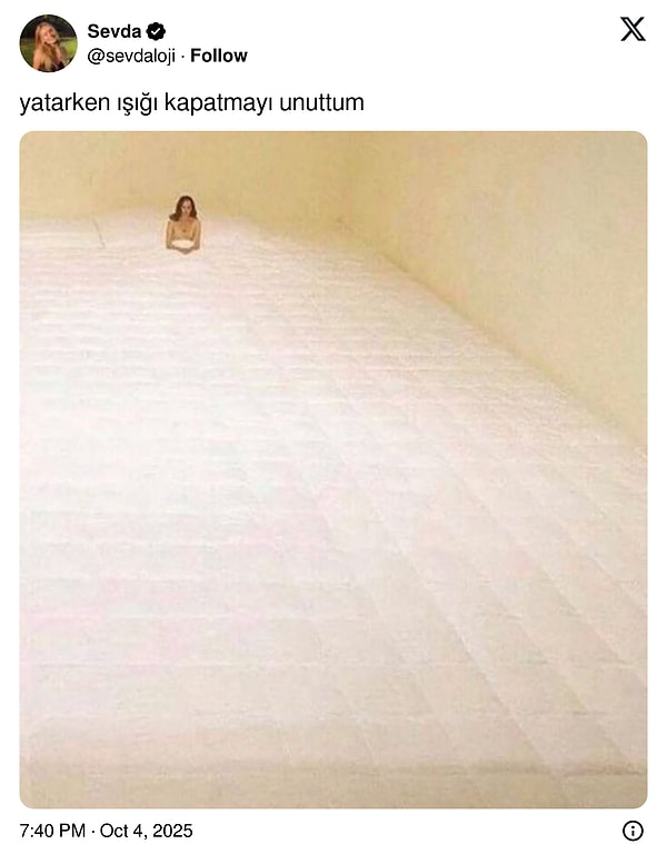 Tam olarak bu his.