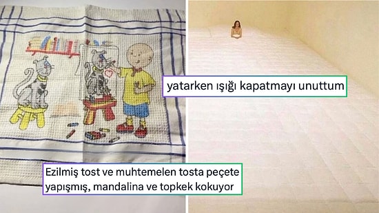 Sürekli İşi Çıkan Kedilerden Cümlenin Sonuna Gelene Kadar Hafızasını Kaybedene Son 24 Saatin Viral Tweetleri