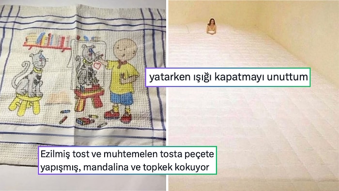 Sürekli İşi Çıkan Kedilerden Cümlenin Sonuna Gelene Kadar Hafızasını Kaybedene Son 24 Saatin Viral Tweetleri
