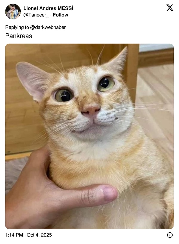 👇🏻