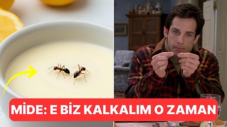 Michelin Yıldızlı Restoranda Karıncalı Yoğurt Tarifi Gündem Oldu