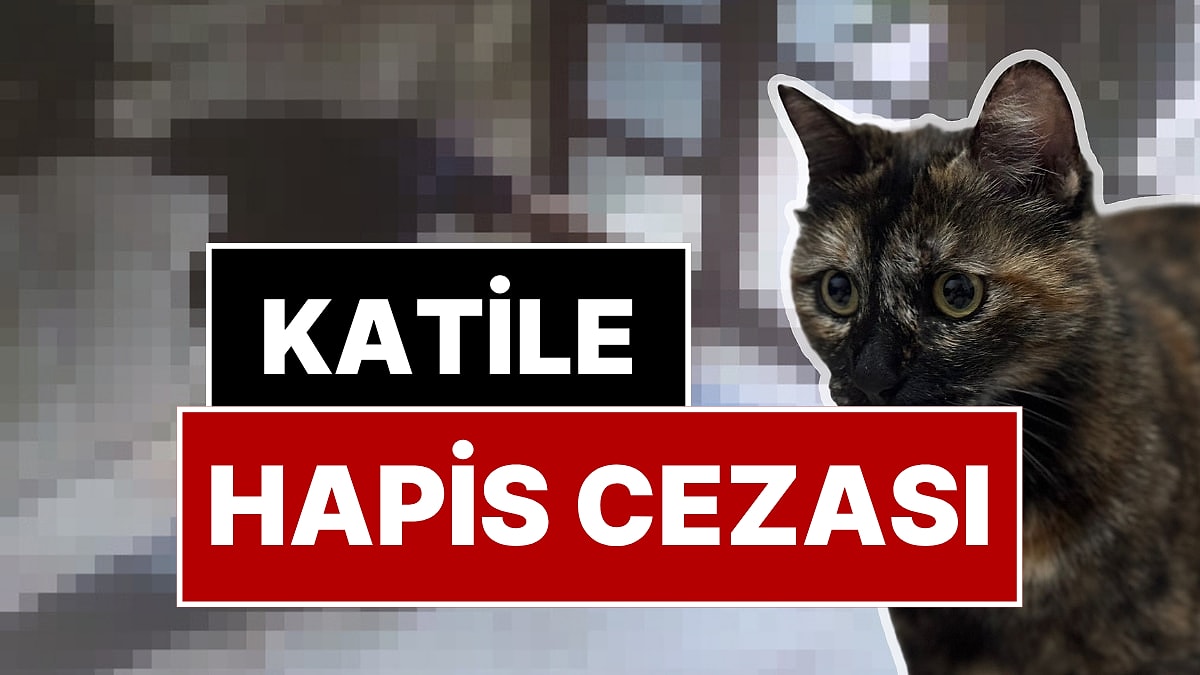 Kedi Cezve&apos;nin Katilinin Cezası Belli Oldu: Üst Sınırdan Hapis Cezası!