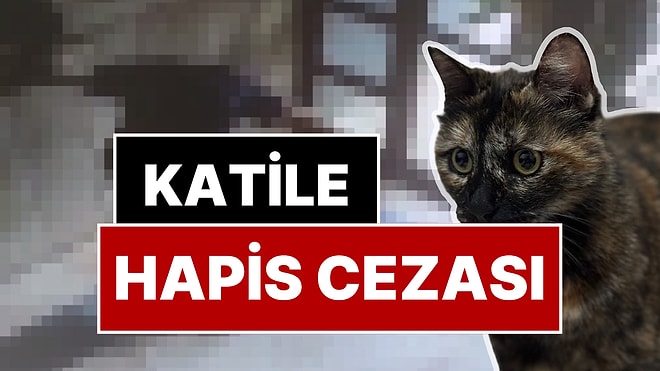 Kedi Cezve'nin Katilinin Cezası Belli Oldu: Üst Sınırdan Hapis Cezası!