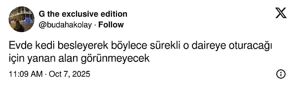 Kedi sabit mi kalacak?