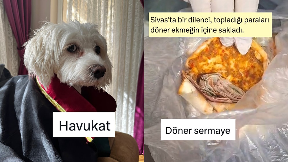 Türkçenin Esnekliğini Mizaha Dönüştürerek Güldüren Twitter Kullanıcıları