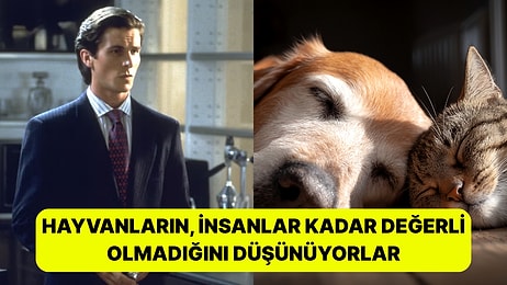 Şaşırdık mı? Araştırmalara Göre Hayvanları Sevmeyen İnsanlar "Sorunlu"