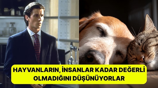 Şaşırdık mı? Araştırmalara Göre Hayvanları Sevmeyen İnsanlar "Sorunlu"