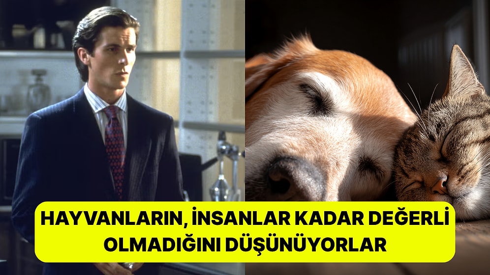 Şaşırdık mı? Araştırmalara Göre Hayvanları Sevmeyen İnsanlar "Sorunlu"
