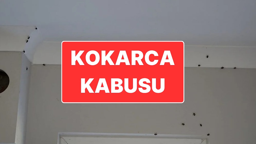 Bakanlıktan Çocuklar İçin Kokarca Böceği Toplama Yarışması: Kazanana Bisiklet Verilecekmiş