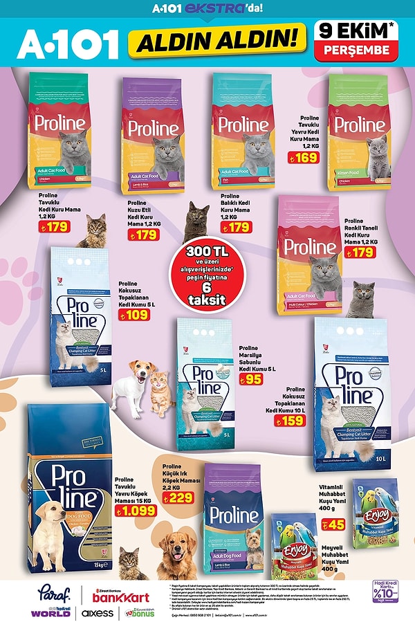 Proline Mama ve Kedi Kumu Çeşitleri