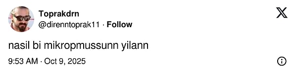 👇