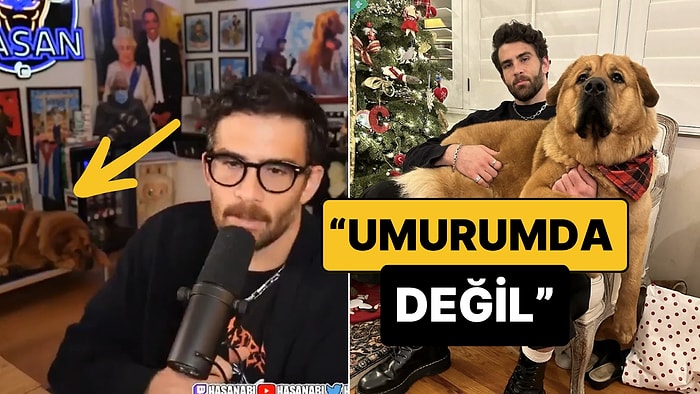 Köpeğine Şok Tasması Taktığı İddia Edilen Yayıncı HasanAbi'nin Açıklamaları Şoke Etti!