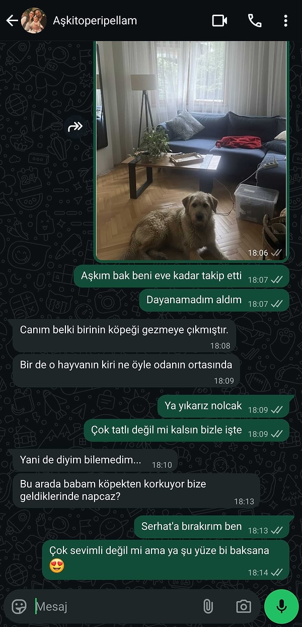 Akıma dönüşen en tatlı şakalardan biri "Bak, hayvan sahiplendim" şakası