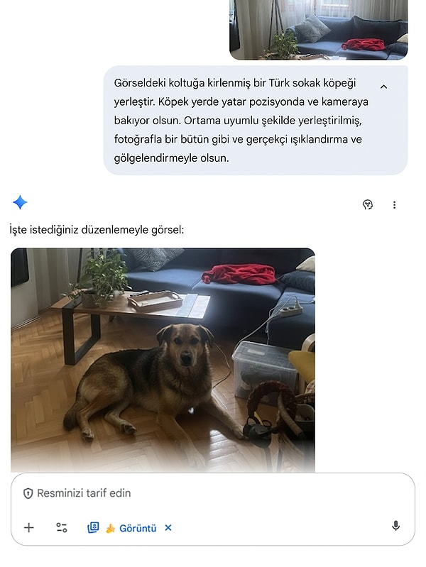 Hayvan sahiplenme şakası nasıl yapılır?