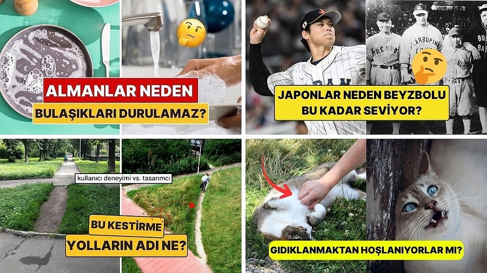 Sohbetlerin Aranan İsmi Olacaksınız: Arkadaş Ortamında Satabileceğiniz 15 Şaşırtıcı Bilgi