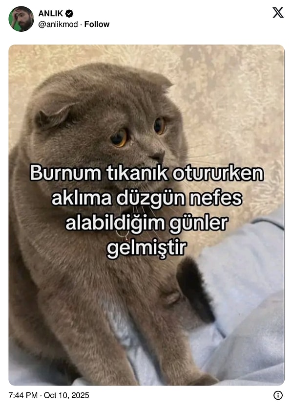 👇