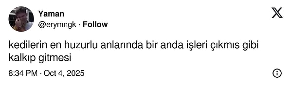 Akıl sır erse kedi olmaz.