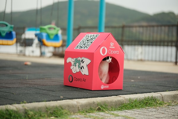 Projeyle birlikte yüzlerce kedi evi, “Sarıyerli” kedilerle buluşuyor
