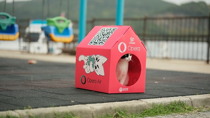 Opera’dan Hem Kedileri Hem İçimizi Isıtan Bir Proje: Türkiye’nin En Büyük Kedi Mahallesi