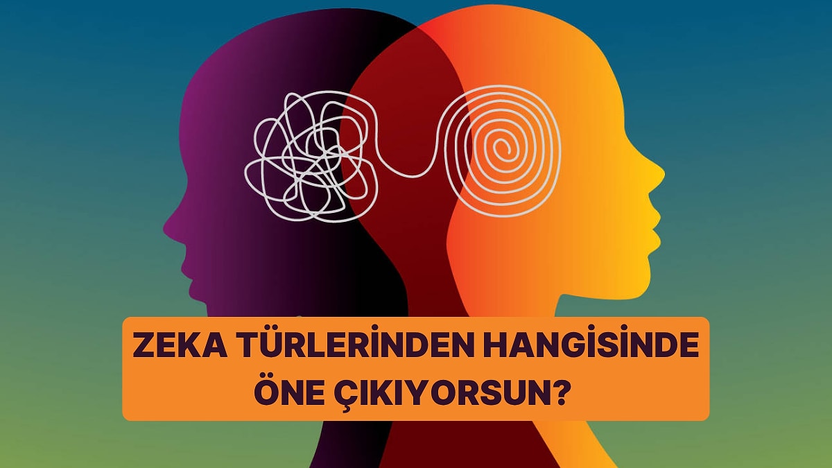 Zeka Türlerinden Hangisinde Öne Çıkıyorsun?