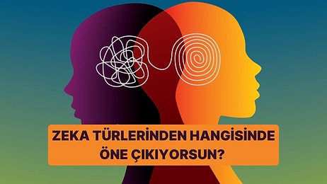 Zeka Türlerinden Hangisinde Öne Çıkıyorsun?