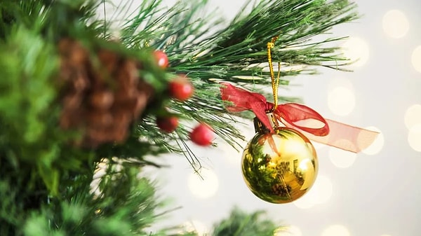 What is changing and what remains the same in the tradition of the Christmas tree?