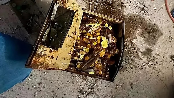 Avusturya'nın başkenti Viyana'da, sıradan bir tadilat işi, bir tesisat ustası ve ev sahibi için beklenmedik bir tarihi keşfe dönüştü.