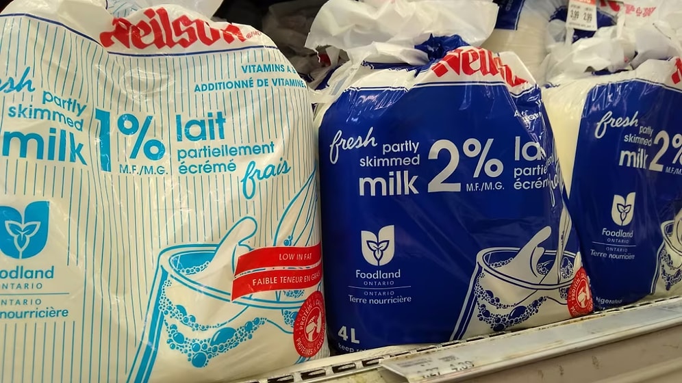 Why Do Canadians Buy Milk in Bags?