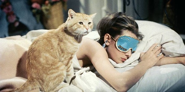 Some cats usually gravitate towards the person who shows the least interest. However, most cats are quite selective about who they will give their attention to.