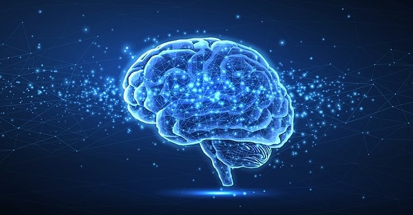 Zeka büyük oranda genetik miras yoluyla aktarılsa da günlük davranış ve alışkanlıklarımızın zeka üzerinde etkili olduğu su geçirmez bir gerçek.