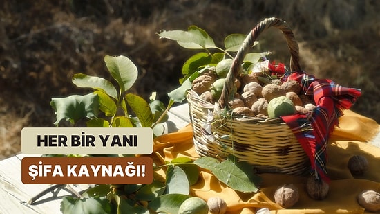 Kendisi, Suyu, Yaprağı, Kabuğu! Her Yanından Şifa Yayan Cevizin Faydaları