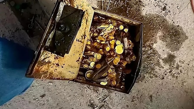 A Plumber In Vienna Found Treasure In a House He Visited