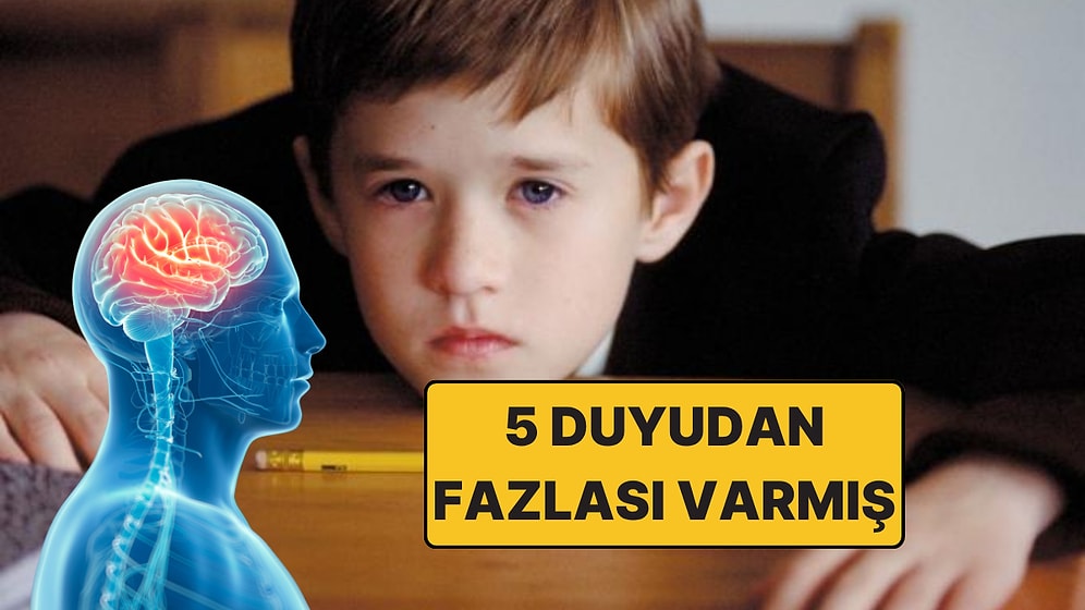 5 Duyudan Fazlası Varmış: Bilim İnsanları Açıkladı, Gizli Bir "Altıncı Duyu"ya Sahip Olabiliriz!