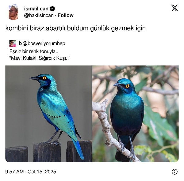 Başlıyoruz!