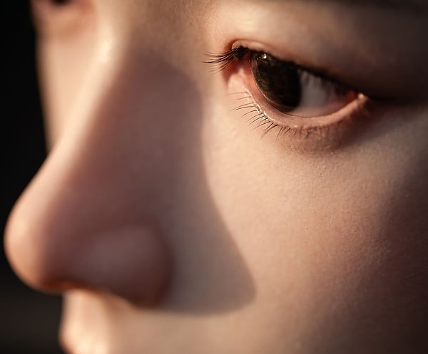 AheadForm, robotların kısa sürede günlük hayata entegre olabileceğini, çeşitli sektörlerde yardım, arkadaşlık ve duygusal destek sağlayabileceğini öngörüyor.