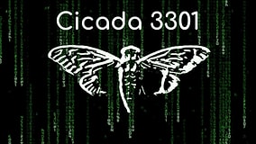 The Internet's Most Mysterious Intelligence Test: Cicada 3301's Unsolvable Codes