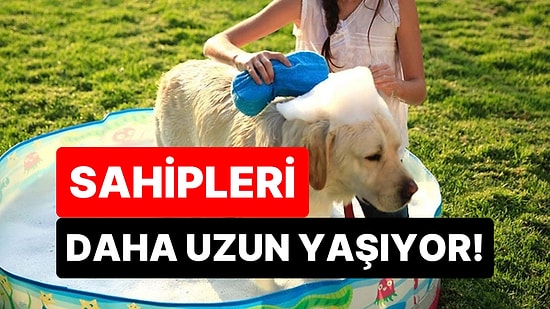 Artık Bilim de Onayladı: Evde Köpek Besleyenler Daha Uzun ve Mutlu Yaşıyor