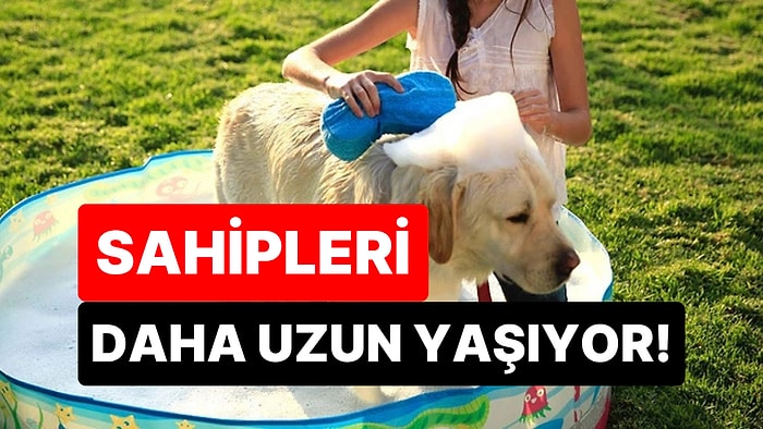 Artık Bilim de Onayladı: Evde Köpek Besleyenler Daha Uzun ve Mutlu Yaşıyor