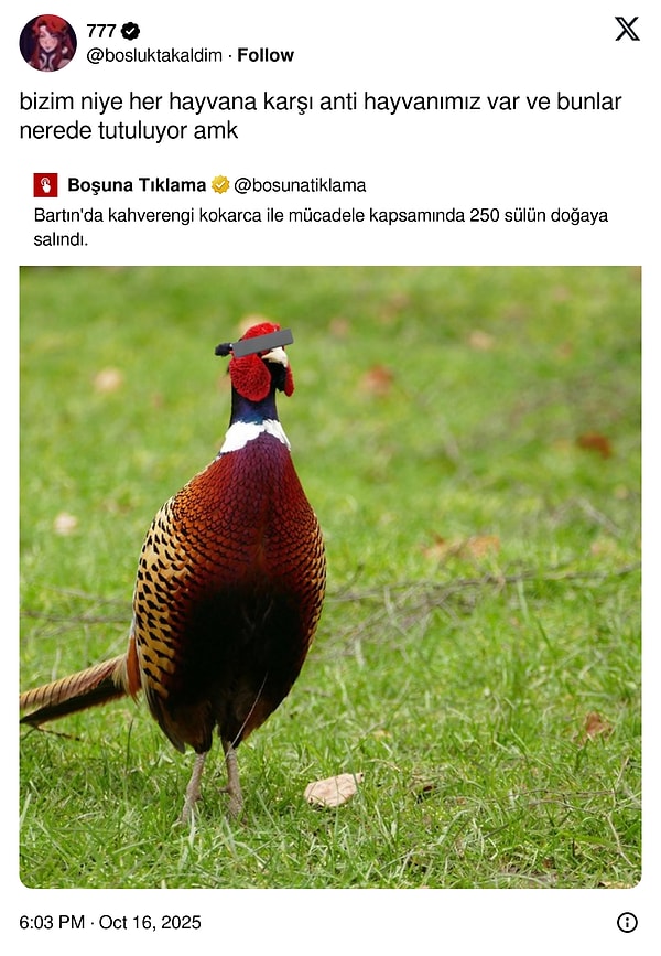 Neden böyle?