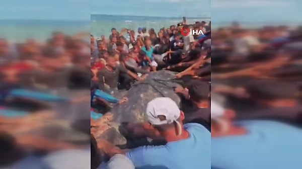 Gazze’de karaya vuran balık açlığa mahkum edilen Filistinlileri sevindirdi.