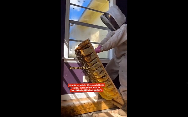 They've produced approximately 45 kilos of honey!