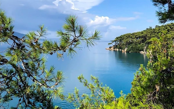 Muğla, Mardin, Antalya ve İzmir'den 4 köy...