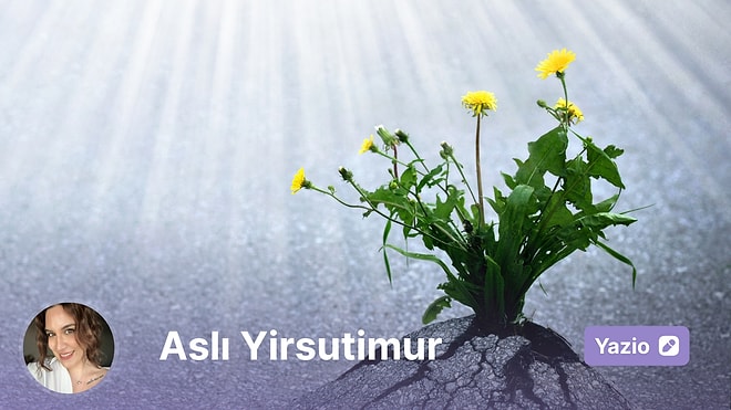 Artık Kimse Büyük Hayaller Kurmuyor