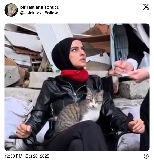 👇