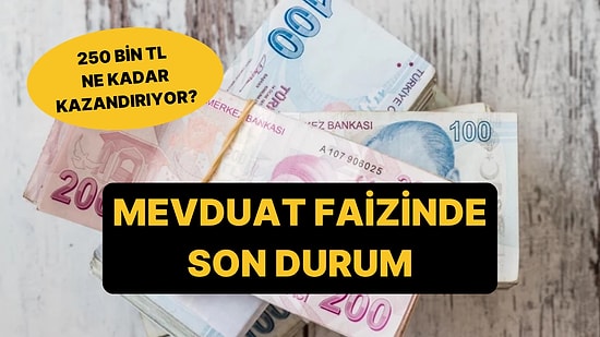 Mevduat Faizlerinde Son Durum: 250 Bin TL'nin Aylık Getirisi Belli Oldu!