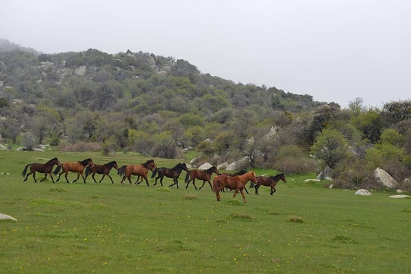 520 kişilik nüfusuyla, geleni konuk bilen ve destek olan bir yaşam biçimi sürüyor.